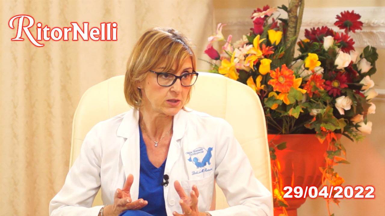 Trasmissione RitorNelli